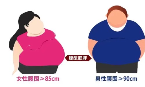 藿香正气片用法用量说明书-【藿香正气片价格多少钱一盒】藿香正气片多少钱一盒 - 藿香正气片价格多少钱网